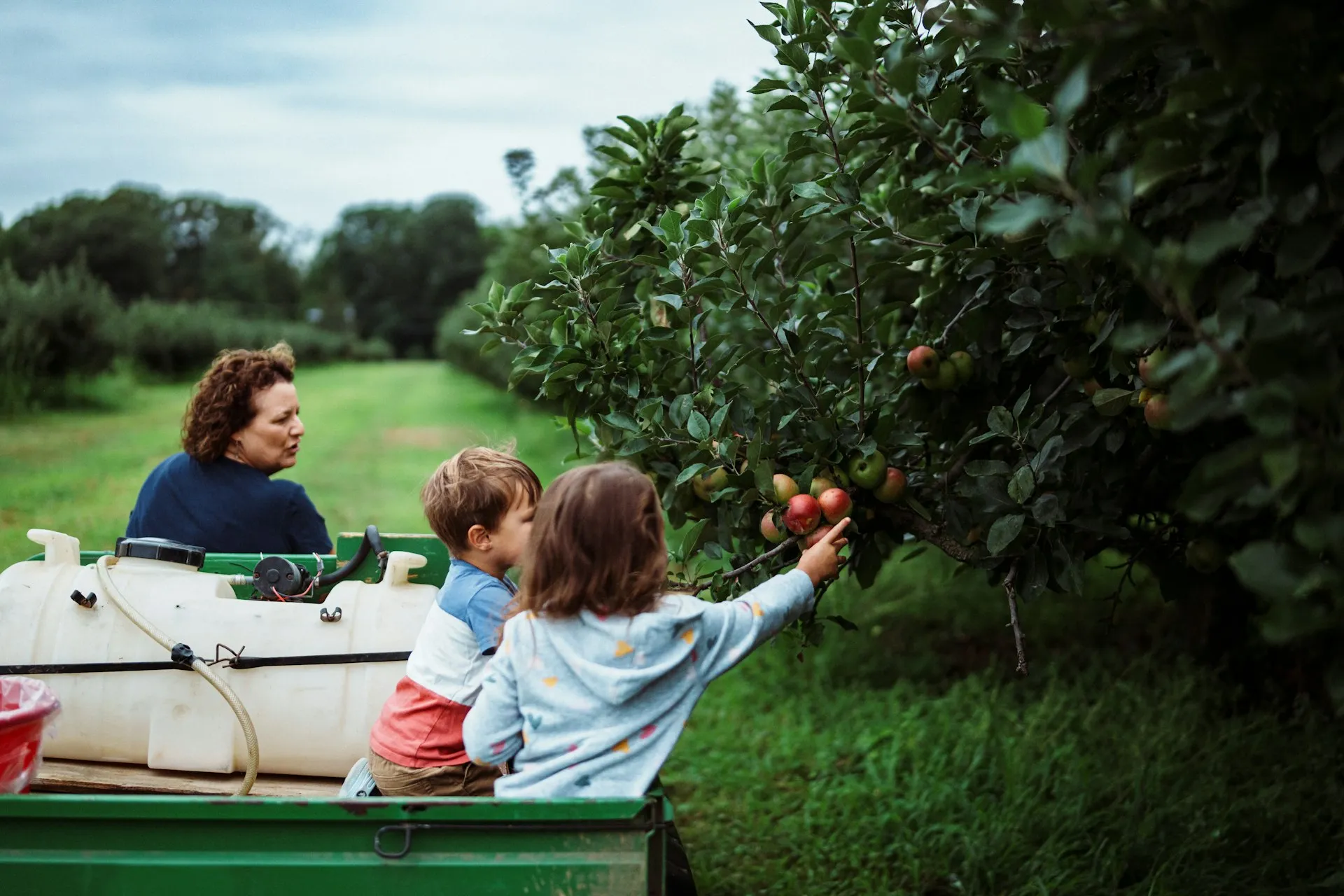 Family walking through an orchard during harvest season